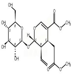 幼枝含断氧化马钱子苷甲酯,Secoxyloganin methyl ester