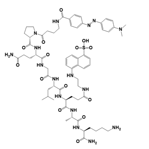 Dabcyl-γ-Abu-PQGL-Glu(EDANS)-AK-NH2/193475-71-7