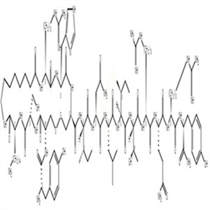 C2-Neuropeptide Y