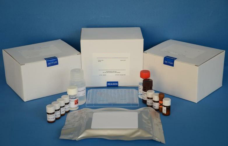 microRNA纯化试剂盒（提取试剂盒）,microRNA Purification Kit (25)