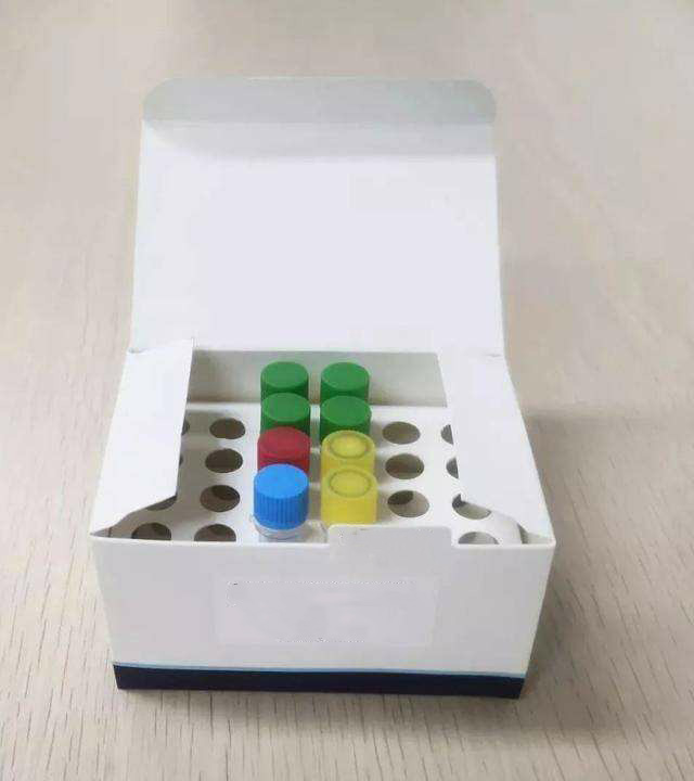 细胞和组织DNA提取试剂盒,Cells and Tissue DNA Isolation Kit