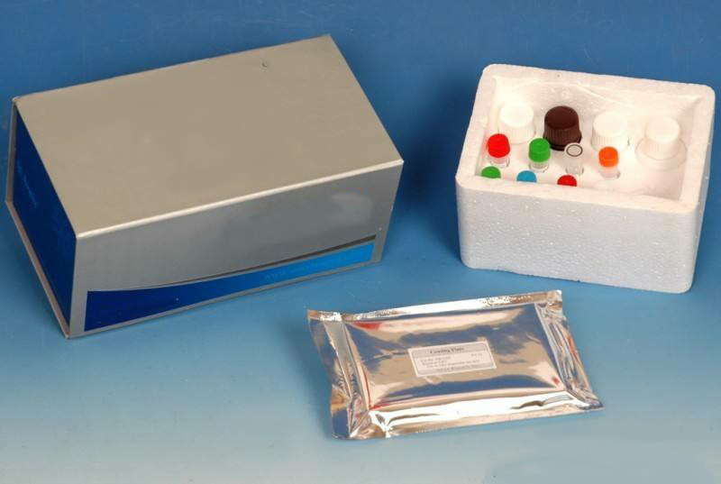 血浆/血清外泌体体纯化小提试剂盒（提取试剂盒）,Plasma/Serum Exosome Purification Mini Kit