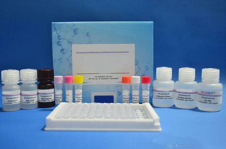 尿液外泌体纯化小提试剂盒（提取试剂盒）,Urine Exosome Purification Mini Kit