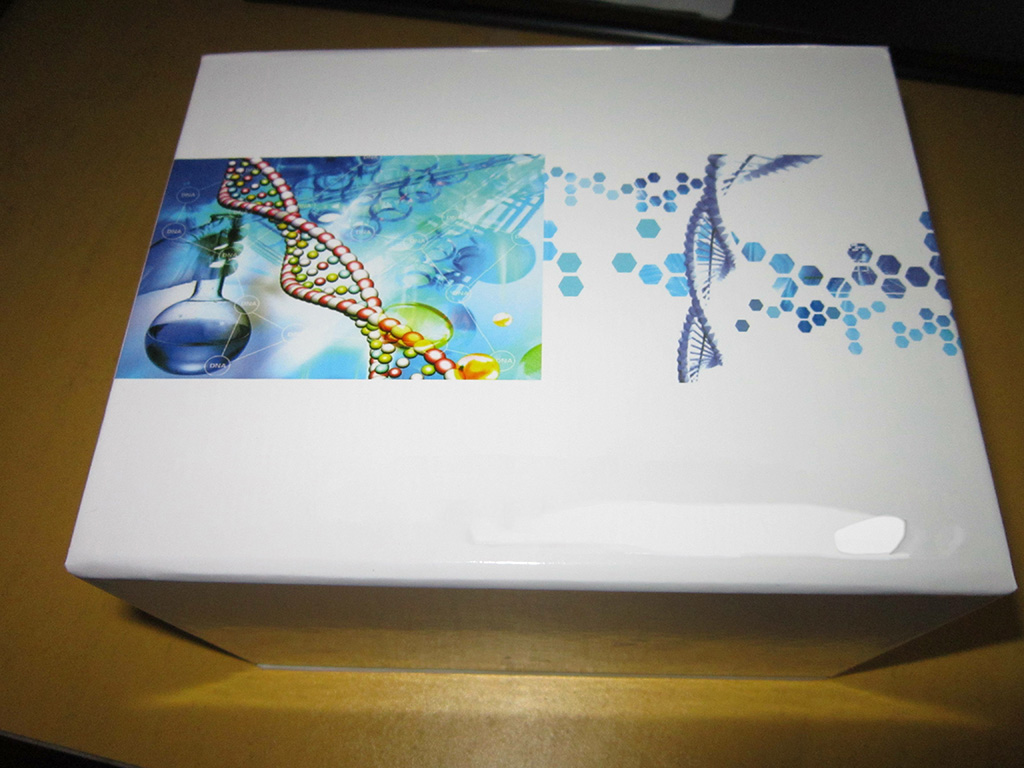 外泌体RNA提取试剂盒,Exosomal RNA Isolation Kit