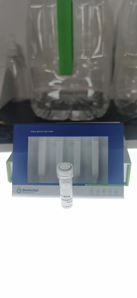 柑桔类病毒（CEVd）TaqMan探针RT-PCR试剂盒-24次反应,Citrus Exocortis Viroid (CEVd) TaqMan RT-PCR Kit-24 Reactions