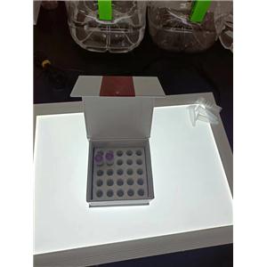 Luc-Pair双重荧光素酶测定试剂盒2.0