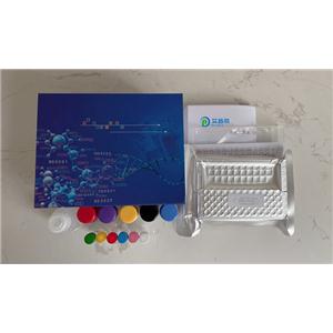 血浆/血清循环和核外RNA纯化小提试剂盒（提取试剂盒）