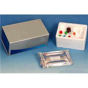 血浆/血清外泌体体纯化小提试剂盒（提取试剂盒）,Plasma/Serum Exosome Purification Mini Kit