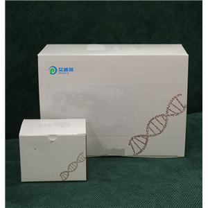 血浆/血清外泌体纯化大提试剂盒（提取试剂盒）,Urine Cell-Free aPlasma/Serum Exosome Purification Maxi KitCirculating DNA Purification Mini Kit