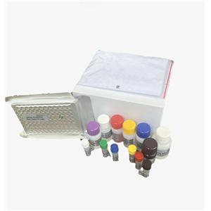 AAV纯化中提试剂盒（提取试剂盒）