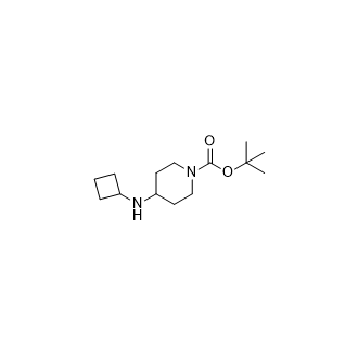 1-叔丁氧羰基-4-(环丁基氨基)哌啶,tert-Butyl 4-(cyclobutylamino)piperidine-1-carboxylate