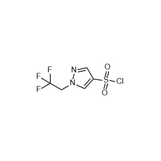 1-(2,2,2-三氟乙基)-1H-吡唑-4-磺酰氯,1-(2,2,2-Trifluoroethyl)-1H-pyrazole-4-sulfonyl chloride