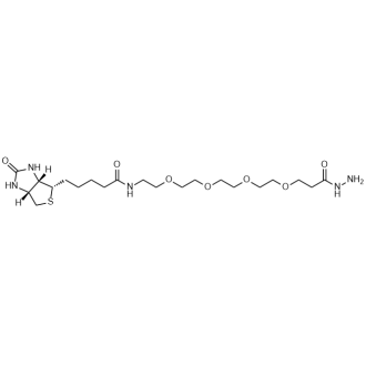 Biotin-PEG4-hydrazide,Biotin-PEG4-hydrazide