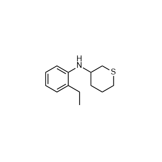 N-(2-乙基苯基)四氢-2H-噻喃-3-胺,n-(2-Ethylphenyl)tetrahydro-2h-thiopyran-3-amine