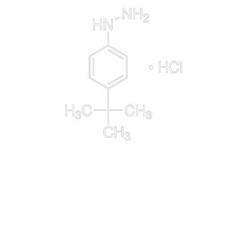 4-叔丁基苯肼 单盐酸盐