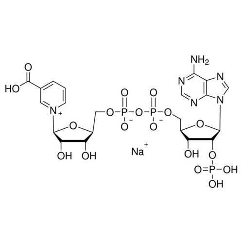 烟酸腺嘌呤二核苷酸磷酸 钠盐