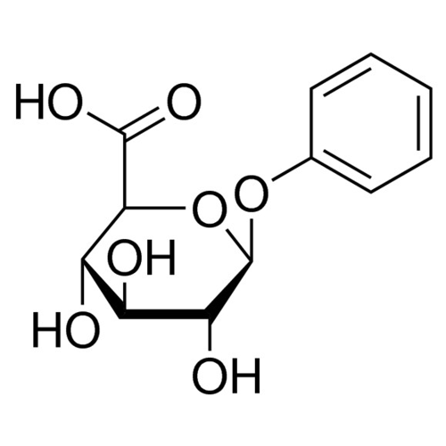 Phenyl-β-D-glucuronide