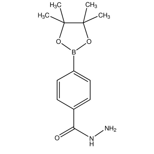 4-(Hydrazinecarbonyl)phenylboronic acid pinacol ester