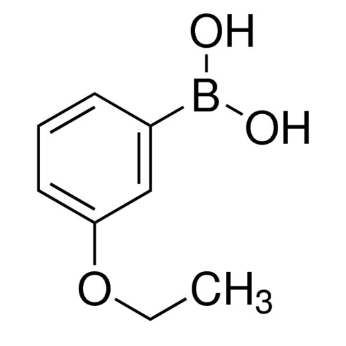间乙氧基苯硼酸