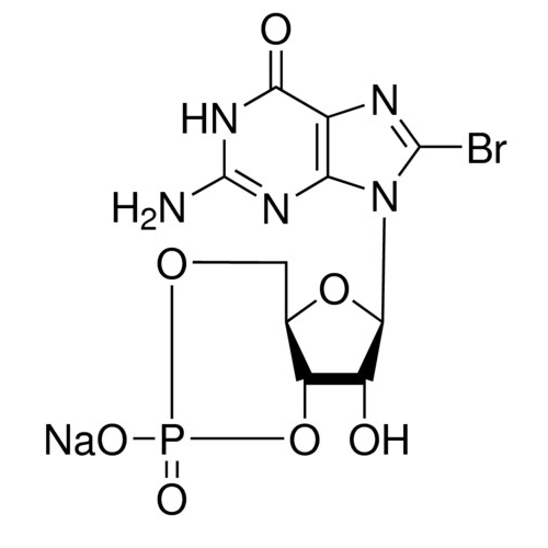 8-溴鳥嘌呤3'，5'-環(huán)一磷酸 鈉鹽