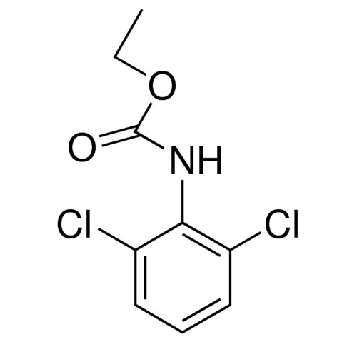ETHYL N-(2,6-DICHLOROPHENYL)CARBAMATE