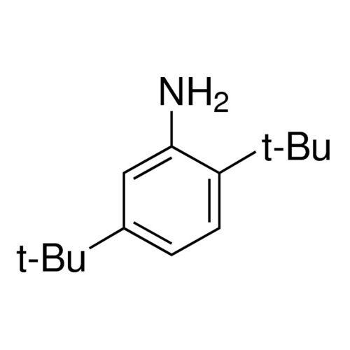 2,5-二叔丁基苯胺