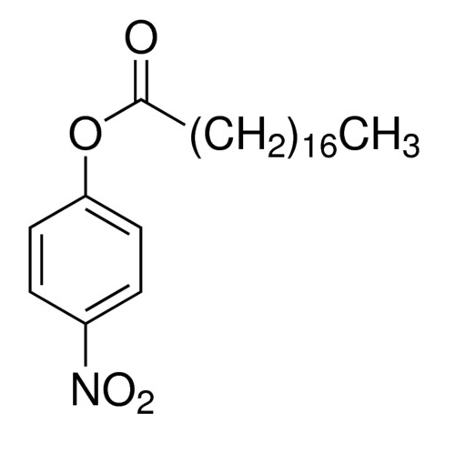 4-Nitrophenyl stearate