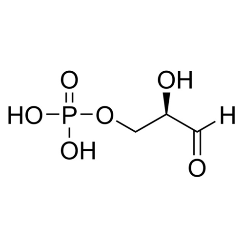 D-甘油醛 3-磷酸 溶液