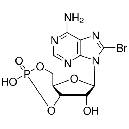 8-溴腺苷-3',5'-环单磷酸