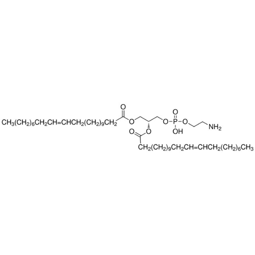 1,2-Dierucoyl-sn-glycero-3-phosph&&oelig;lig;thanolamine