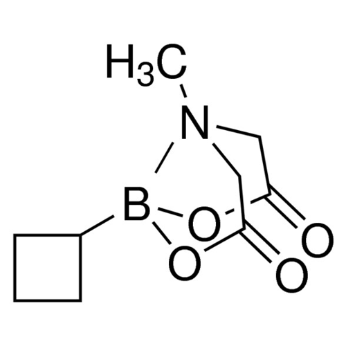 環(huán)丁基硼酸 MIDA 酯