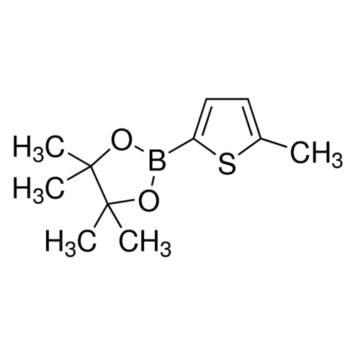 5-甲基噻吩-2-硼酸頻哪醇酯