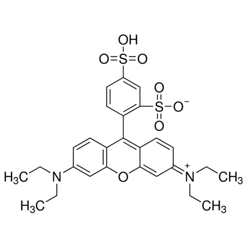 磺酰罗丹明 B，酸式