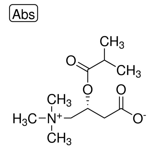 异丁酰基- L -肉碱