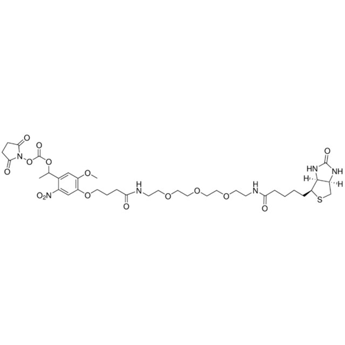 PC生物素-PEG3-NHS酯