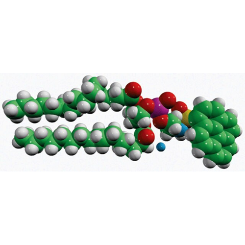 16:0 Pyrene PE