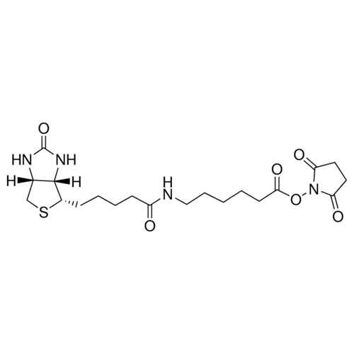 生物素酰胺己酸 N-羟基琥珀酰亚胺酯