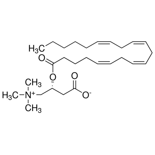 Arachidonyl-L-carnitine