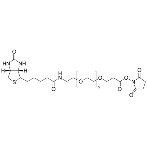 O-[2-(生物素基-氨基)乙基]-O′-[3-(N-琥珀酰亚胺氧基)-3-氧代丙基]聚乙二醇 3000