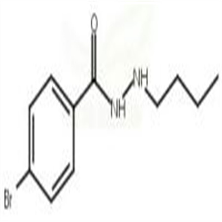 4-Bromobenzoic acid 2-butylhydrazide