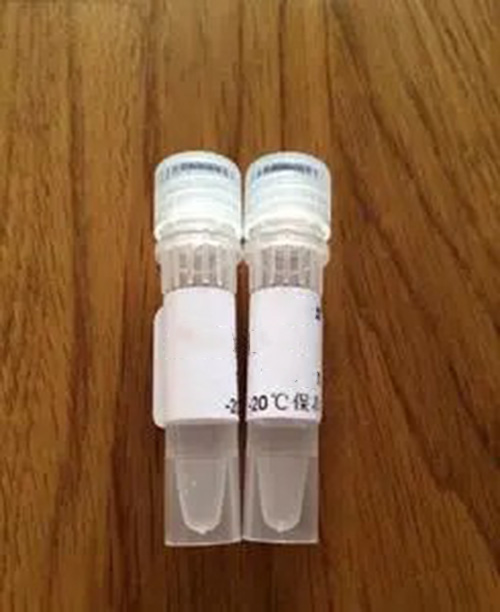 Tubulin聚合检测试剂盒（ 纯度>99% 猪脑 tubulin）,Tubulin Polymerization Assay Kit (>99% pure porcine brain tubulin)
