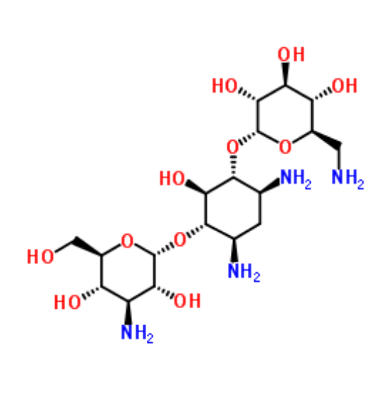 卡那霉素,kanamycin