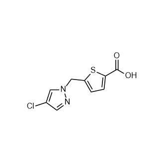 5-[(4-氯-1h-吡唑-1-基)甲基]噻吩-2-羧酸