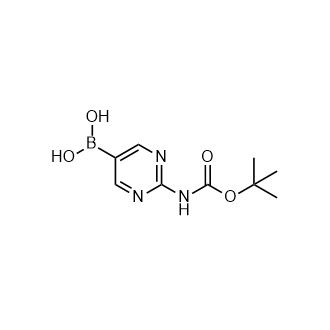 [2-[(叔丁氧羰基)氨基]嘧啶-5-基]硼酸