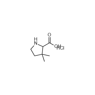 3,3-二甲基吡咯烷-2-羧酸盐酸盐