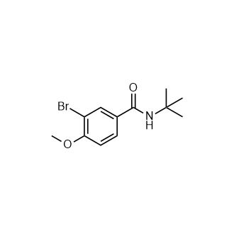 N-叔丁基3-溴-4-甲氧基苯甲酰胺