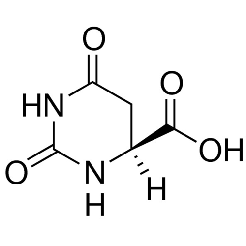 <SC>L</SC>-二氢乳清酸,5988-19-2