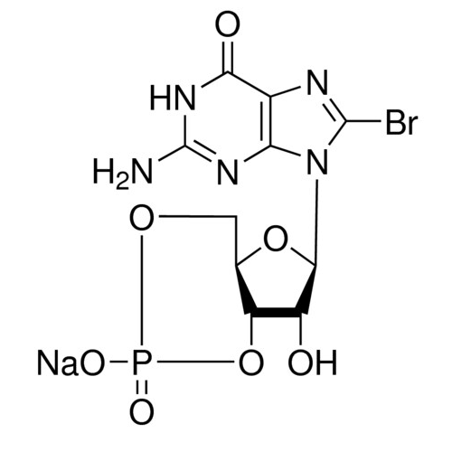 8-溴鸟嘌呤3'，5'-环一磷酸 钠盐,51116-01-9