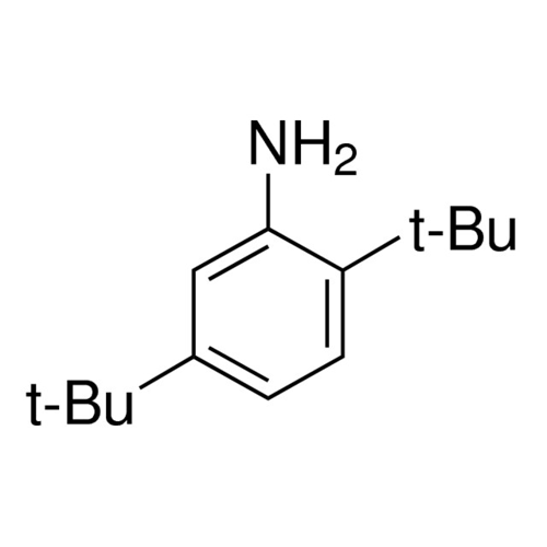 2,5-二叔丁基苯胺,21860-03-7