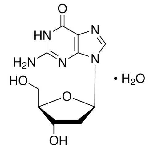 2′-脱氧鸟苷 水合物,207121-55-9